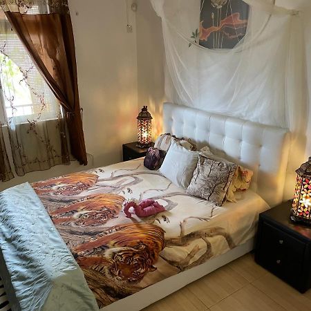 Panorama Villa لا جاوليتي المظهر الخارجي الصورة
